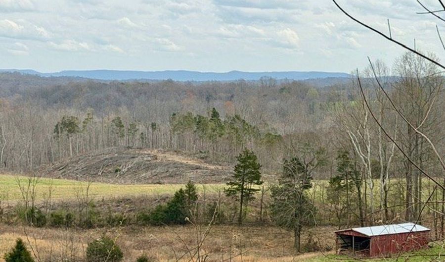 10 Acres Bob Dennings Rd, Allons, TN 38541 - 0 Beds, 0 Bath