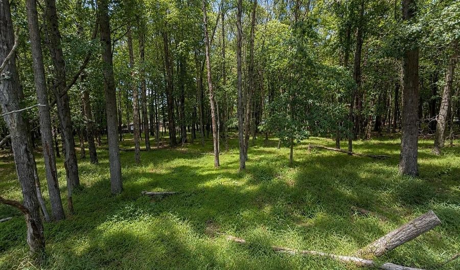 Mountain Rd Lot 521, Albrightsville, PA 18210 - 0 Beds, 0 Bath