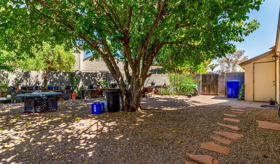 1328 N Jentilly Ct, Chandler, AZ 85226 - 4 Beds, 2 Bath