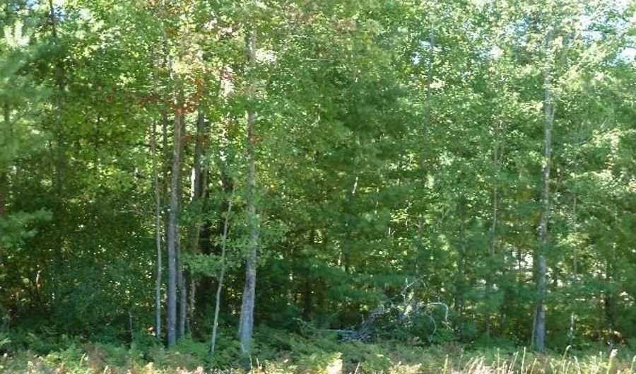 2208 Sommerset Dr Lot 11, Alpena, MI 49707 - 0 Beds, 0 Bath