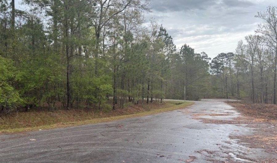 Lot 5 Jacquelyn Court, Bainbridge, GA 39819 - 0 Beds, 0 Bath