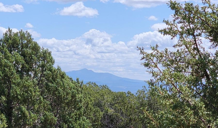 12 B Juniperwood Rnch, Ash Fork, AZ 86320 - 0 Beds, 0 Bath