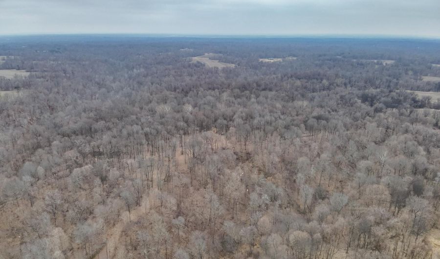 Sandy Branch Road, Bardwell, KY 42023 - 0 Beds, 0 Bath