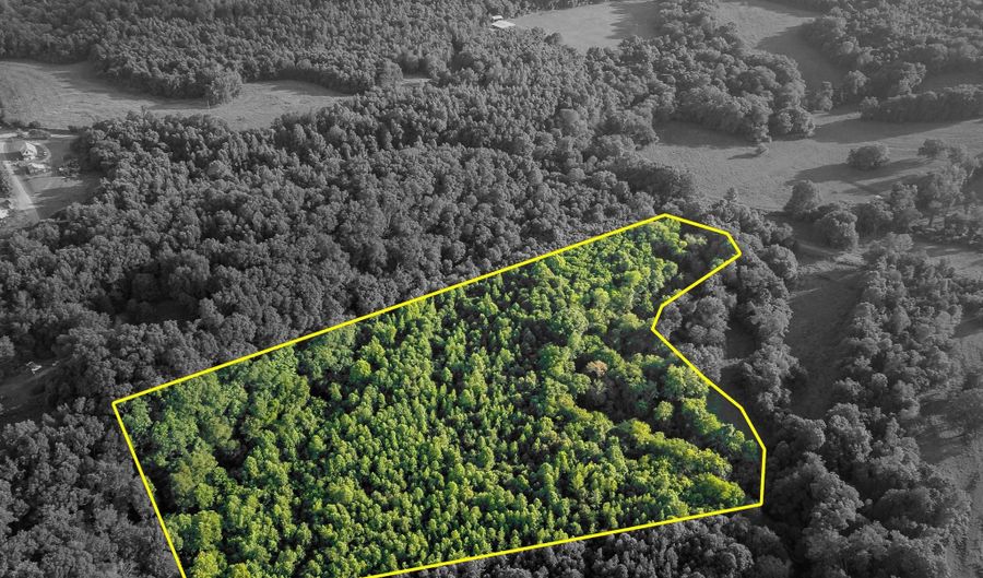 Co Rd 88, Anderson, AL 35610 - 0 Beds, 0 Bath