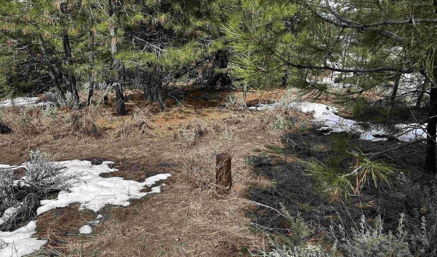 1483 Pine Lakes Ranch Rd, Cascade, ID 83611 - 0 Beds, 0 Bath