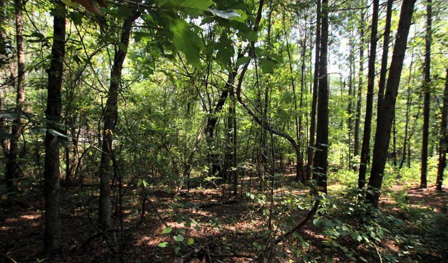 000 Sorrell Rd, Benton, AR 72015 - 0 Beds, 0 Bath