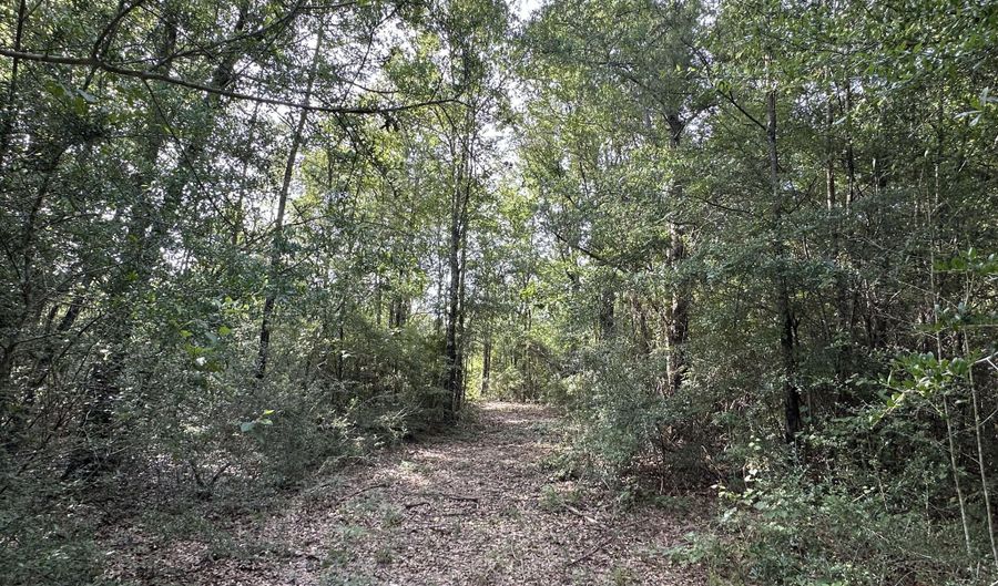 81 1+/- AC Old River Rd, Baker, FL 32531 - 0 Beds, 0 Bath